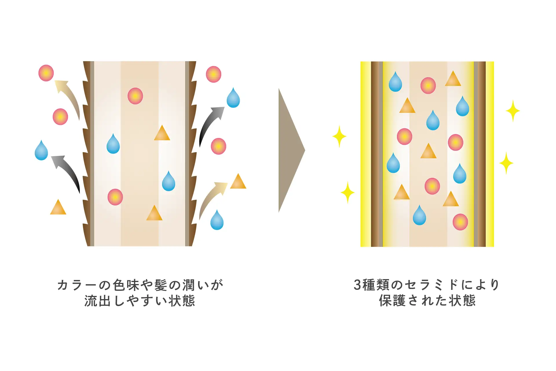 Deeplex Milk【ディープレックスミルク】