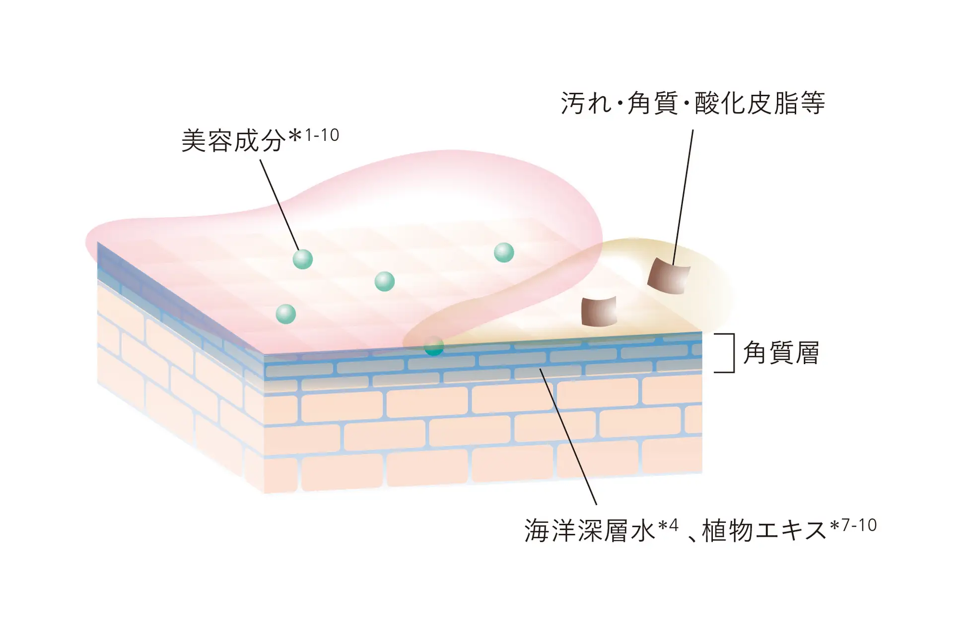 ウェルサート ボディセラムソープ