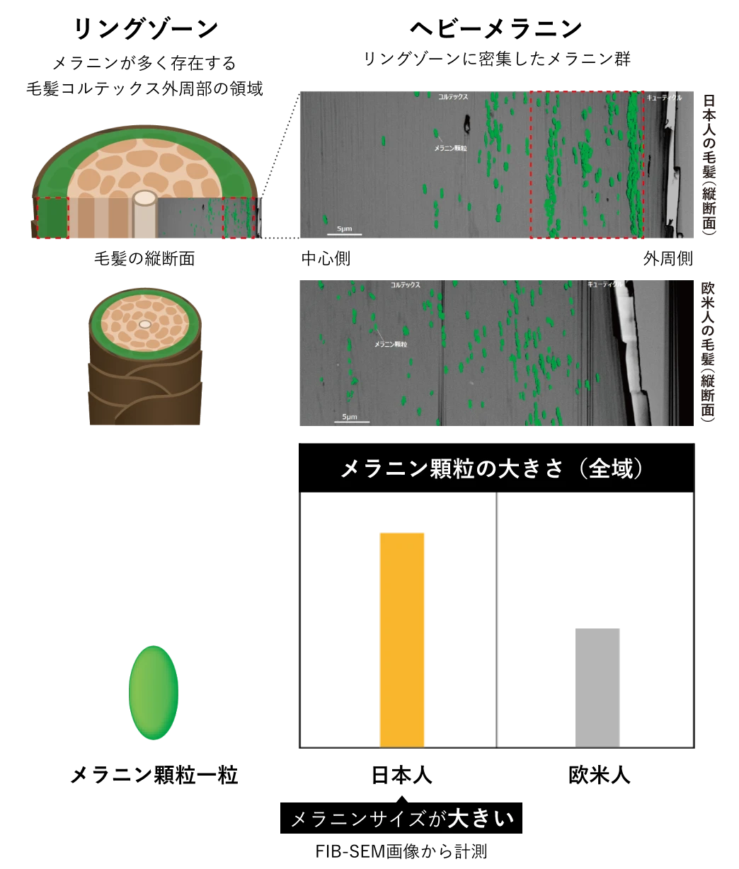 INFINIAL【インフィニアル】