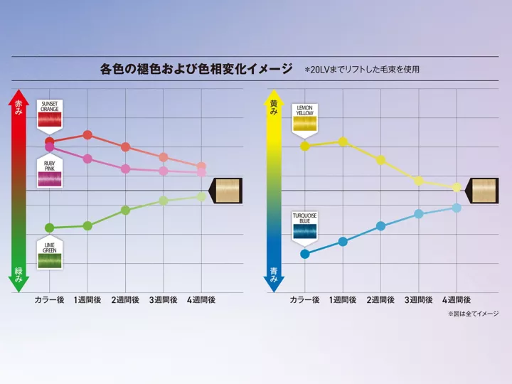 ボンドカラージェル